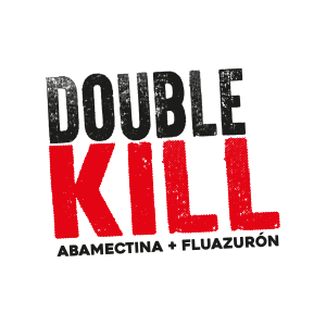 Double Kill 300x300