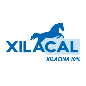 Xilacal 300x300