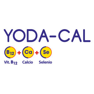 Yoda-Cal 300x300