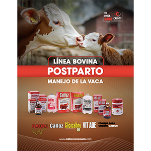 8-Foto-Categorias-pdf-POSTPARTO-300x300