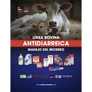 9-Foto-Categorias-pdf-ANTIDIARREICA-300x300