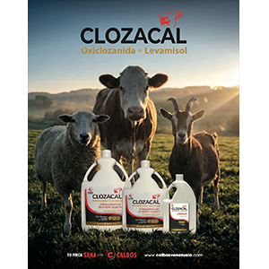 1-Foto-Categorias-Catálogo-CLOZACAL-300×300 1-Foto-Categorias-Catálogo-CLOZACAL-300x300