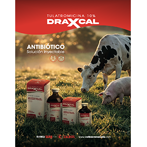 2-Foto-Categorias-Catálogo-DRAXCAL-300×300 2-Foto-Categorias-Catálogo-DRAXCAL-300x300