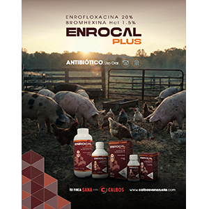 3-Foto-Categorias-Catálogo-ENROCAL PLUS-300×300 3-Foto-Categorias-Catálogo-ENROCAL PLUS-300x300