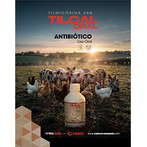 4-Foto-Categorias-Catálogo-TILCAL ORAL-300×300 4-Foto-Categorias-Catálogo-TILCAL ORAL-300x300