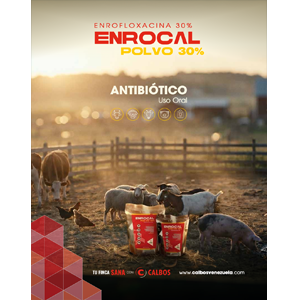 6-Foto-Categorias-Catálogo-ENROCAL POLVO-300×300 6-Foto-Categorias-Catálogo-ENROCAL POLVO-300x300
